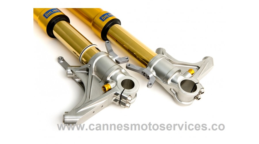 FOURCHE OHLINS YAMAHA R1 (09/12)